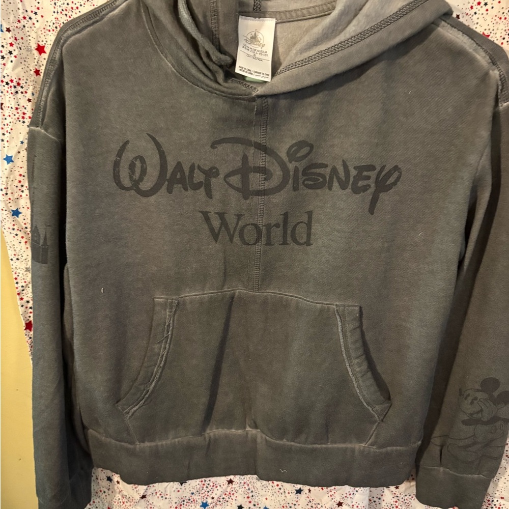 Disney Gray Walt Disney World Hoodie